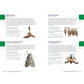 My Awesome Field Guide to Bugs: Find and Identify Your Crawling and Flying Bugs (My Awesome Field Guide for Kids)