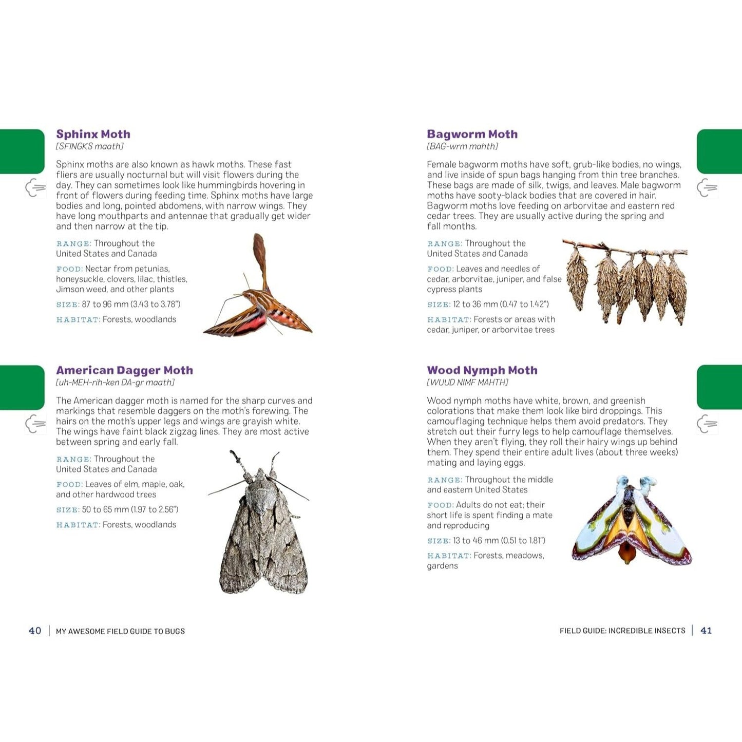 My Awesome Field Guide to Bugs: Find and Identify Your Crawling and Flying Bugs (My Awesome Field Guide for Kids)