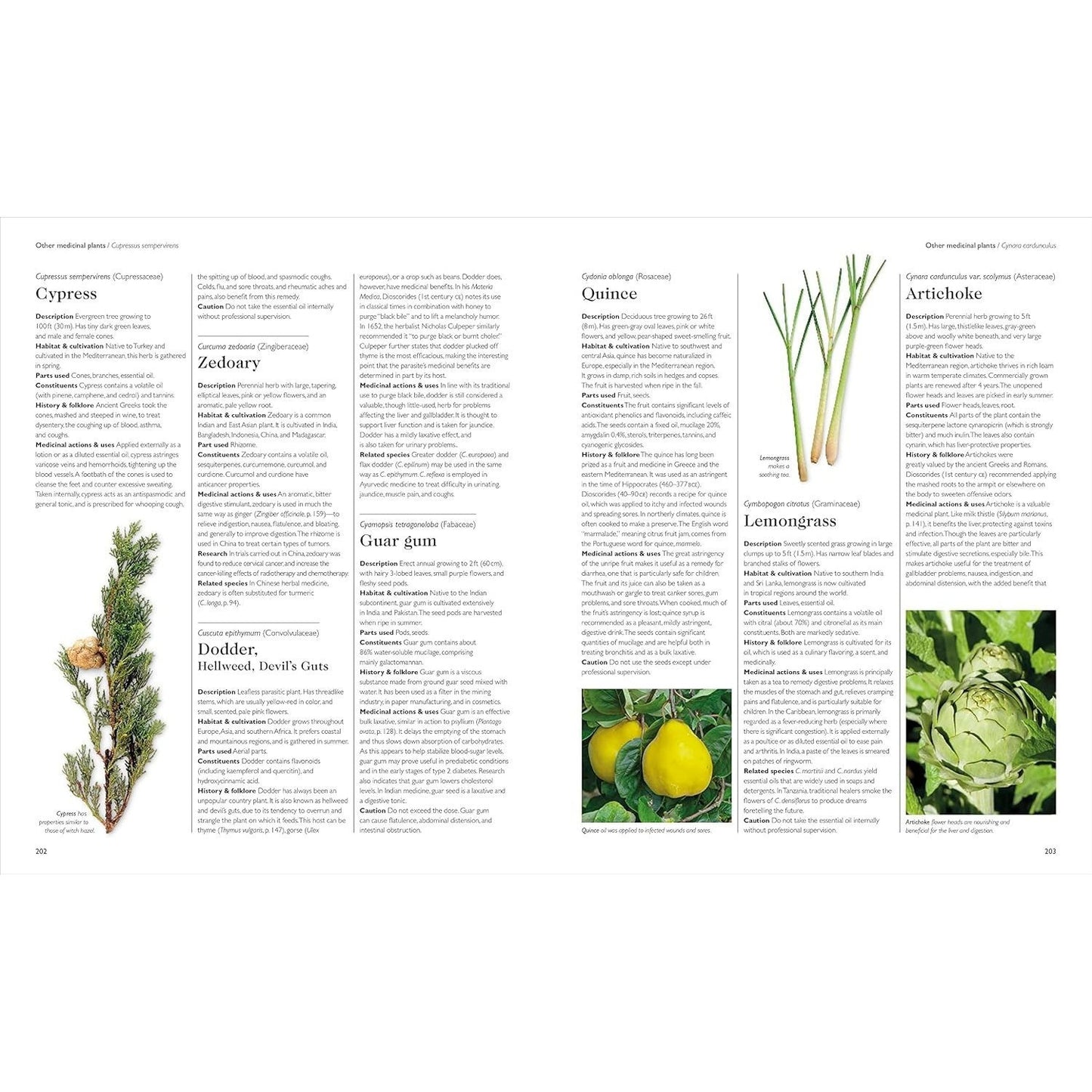 Encyclopedia of Herbal Medicine New Edition: 560 Herbs and Remedies for Common Ailments