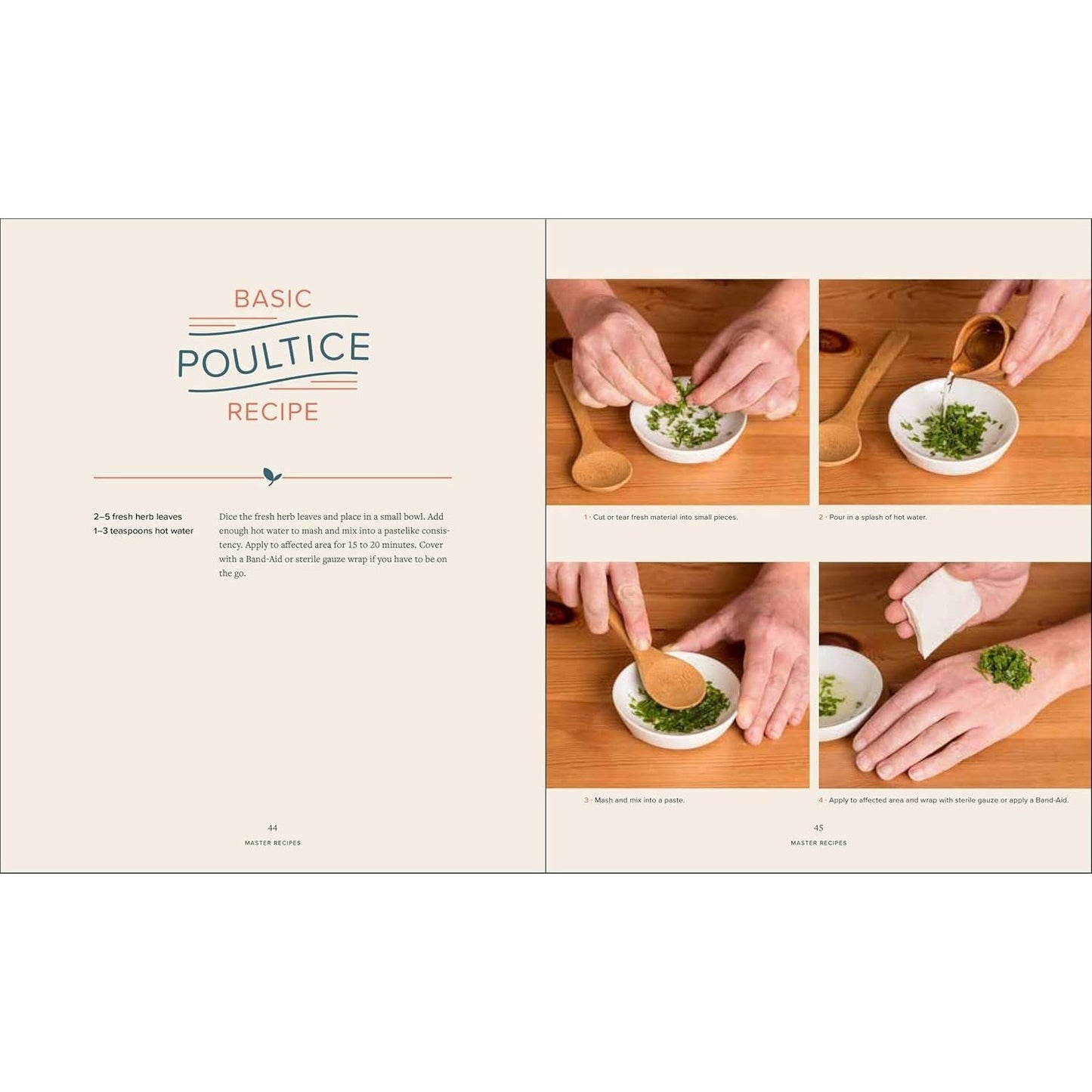 Master Recipes from the Herbal Apothecary: 375 Tinctures, Salves, Teas, Capsules, Oils, and Washes for Whole-Body Health and Wellness (Spiral Bound)