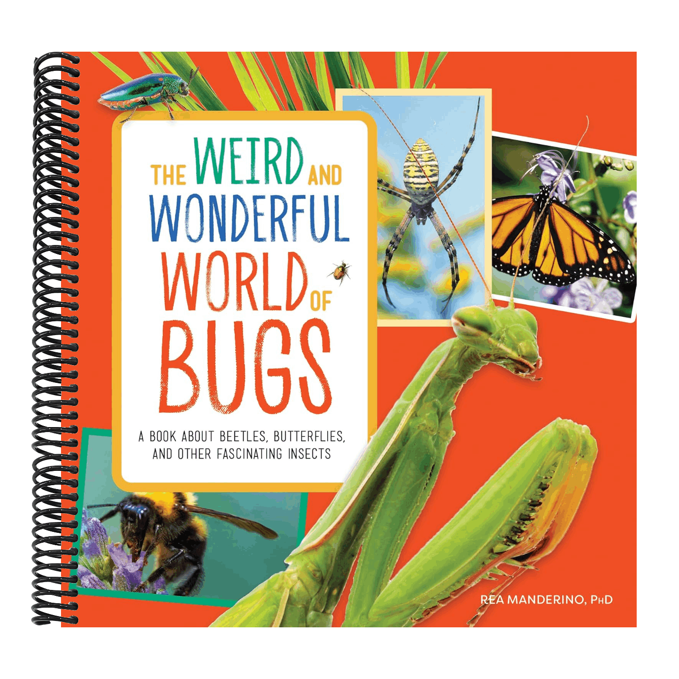 The Weird and Wonderful World of Bugs: A Book about Beetles, Butterflies, and Other Fascinating Insects