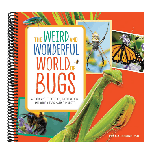 The Weird and Wonderful World of Bugs: A Book about Beetles, Butterflies, and Other Fascinating Insects