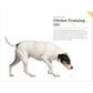 Clicker Training for Dogs: Master Basic Training, Common Cues, and Fun Tricks in 15 Minutes a Day