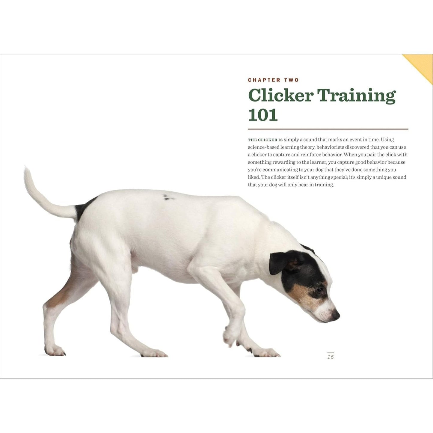 Clicker Training for Dogs: Master Basic Training, Common Cues, and Fun Tricks in 15 Minutes a Day