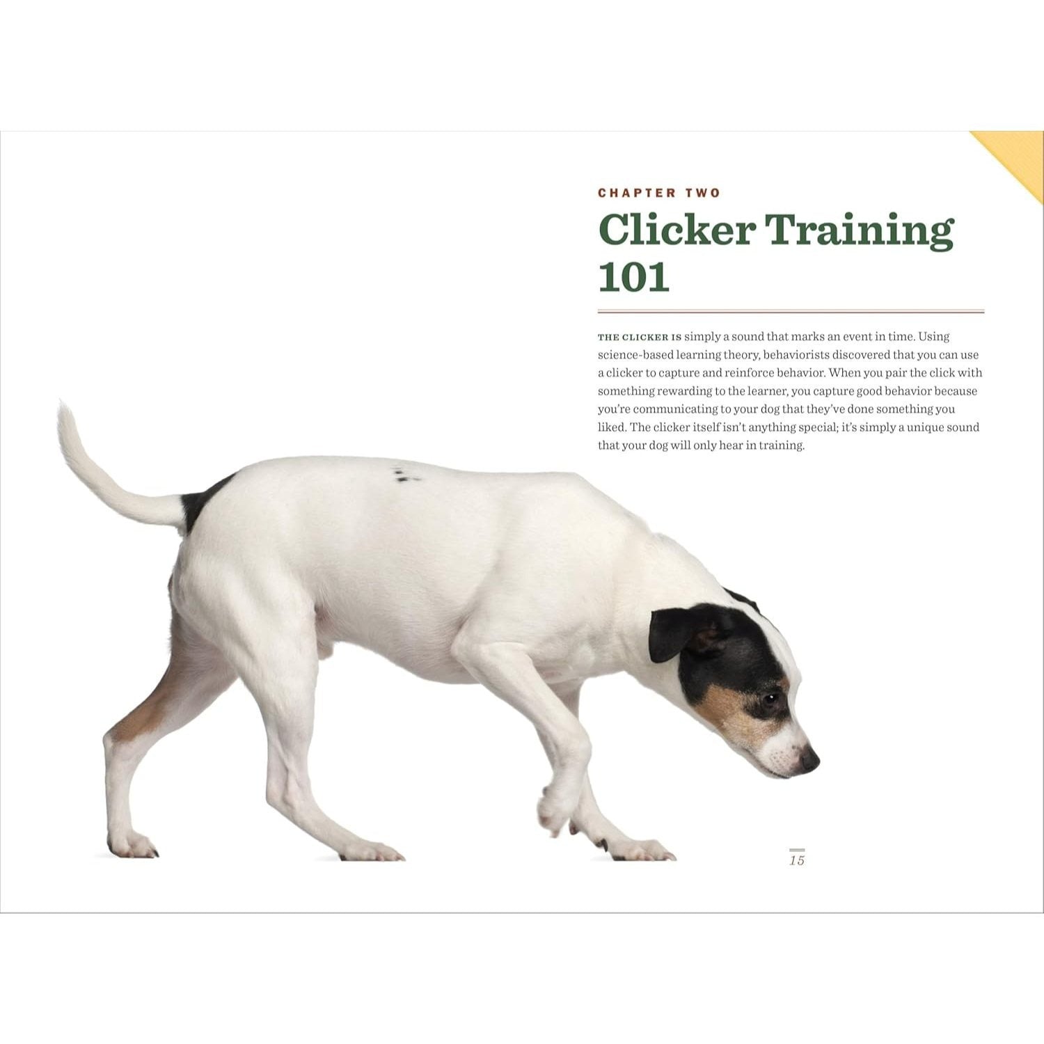 Clicker Training for Dogs: Master Basic Training, Common Cues, and Fun Tricks in 15 Minutes a Day