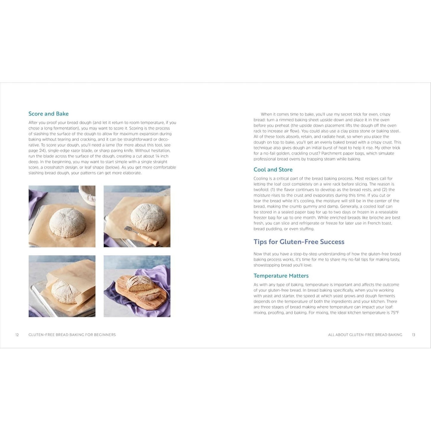 Gluten-Free Bread Baking for Beginners: The Essential Guide to Baking Artisan Loaves, Sandwich Breads, and Enriched Breads