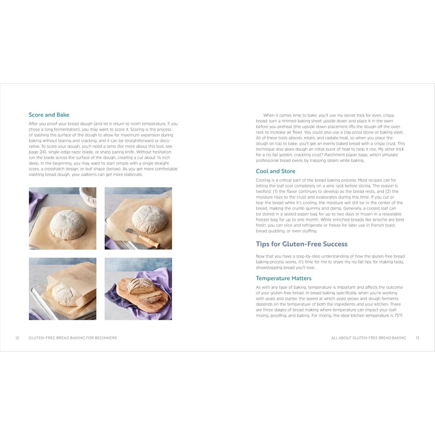 Gluten-Free Bread Baking for Beginners: The Essential Guide to Baking Artisan Loaves, Sandwich Breads, and Enriched Breads