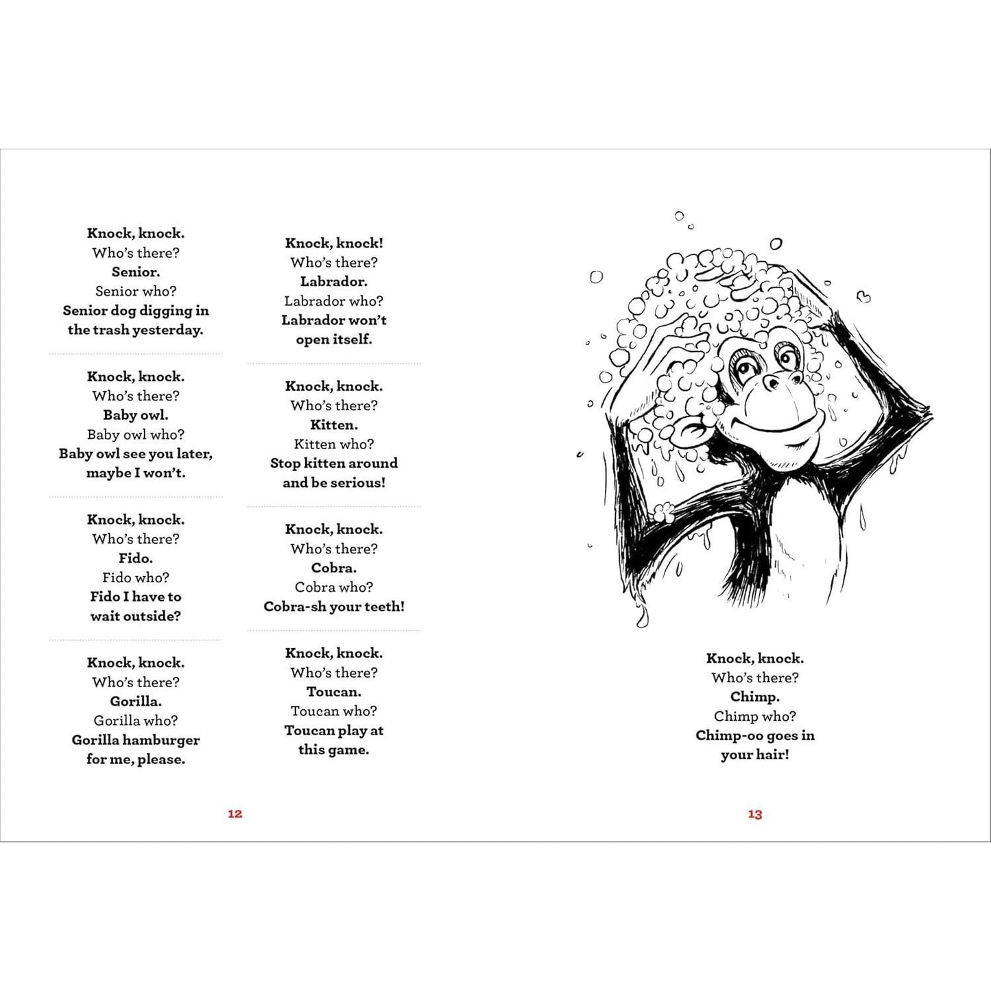 A Whole Lotta Knock-Knock Jokes: Squeaky-Clean Family Fun (Silly Jokes) (Spiral Bound)