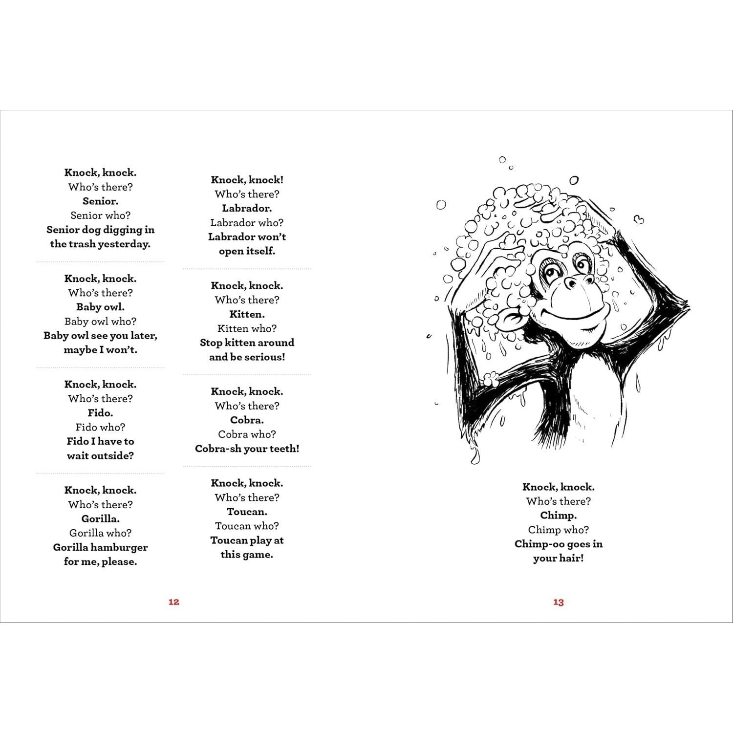 A Whole Lotta Knock-Knock Jokes: Squeaky-Clean Family Fun (Silly Jokes) (Spiral Bound)
