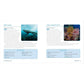 Ocean Animals for Kids: A Junior Scientist's Guide to Whales, Sharks, and Other Marine Life (Junior Scientists)