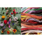 The Untamed Thread: Slow Stitch to Soothe the Soul and Ignite Creativity Volume 1