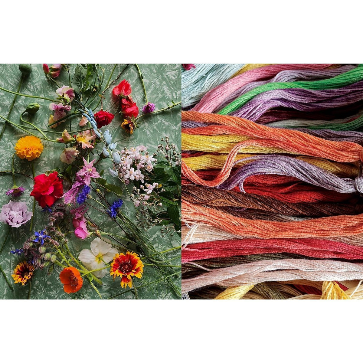 The Untamed Thread: Slow Stitch to Soothe the Soul and Ignite Creativity Volume 1