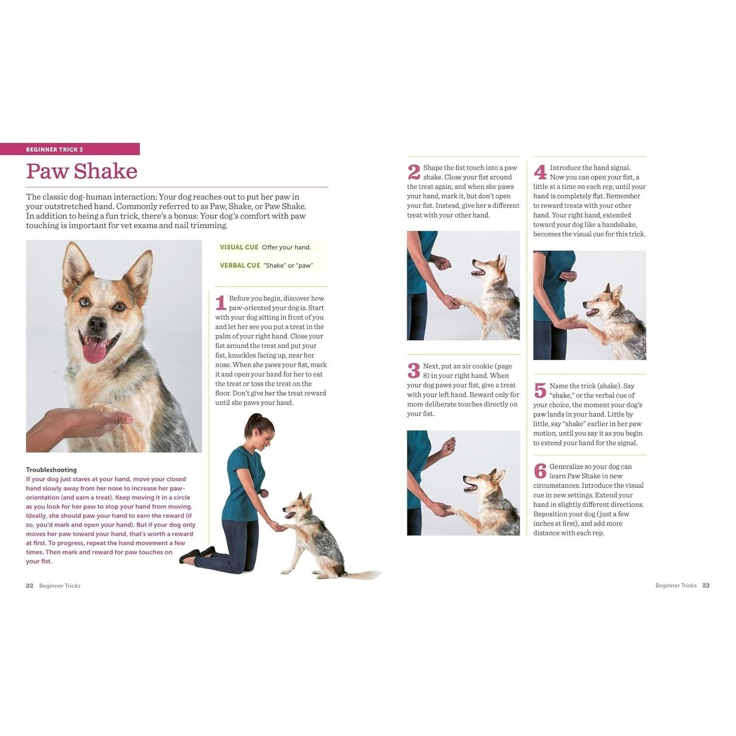 The Big Book of Tricks for the Best Dog Ever: A Step-By-Step Guide to 118 Amazing Tricks and Stunts