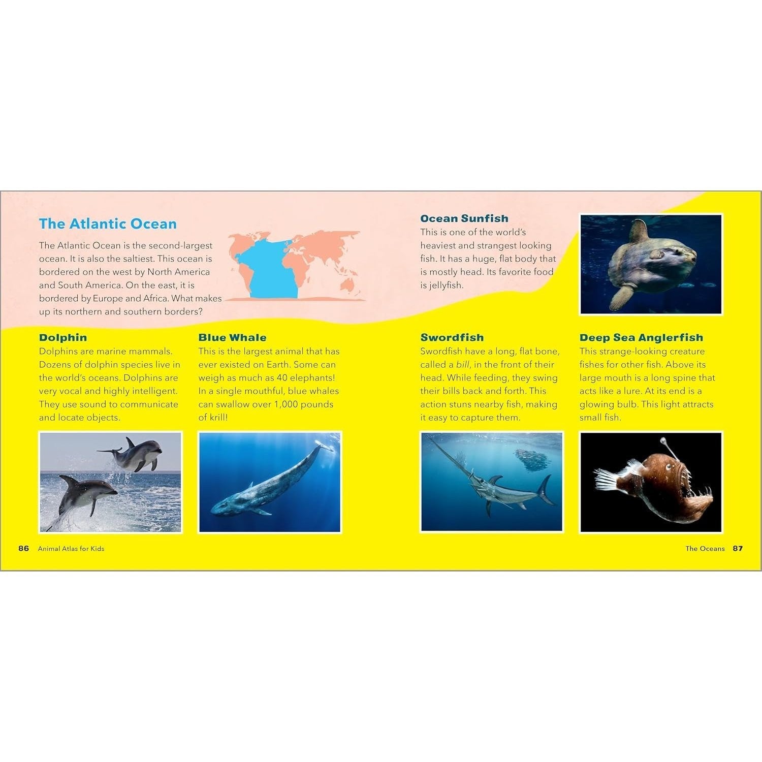 Animal Atlas for Kids: A Visual Journey of Wildlife from Around the World