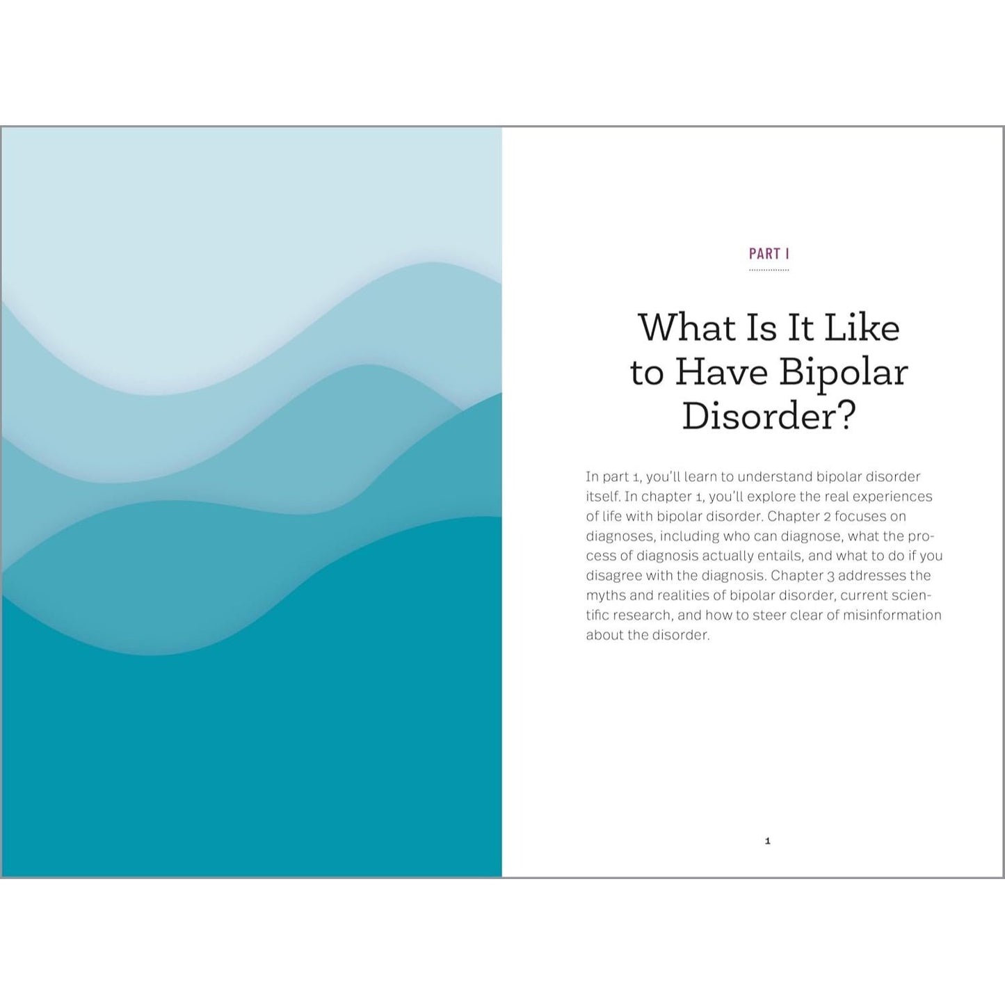 Understanding Bipolar Disorder: The Essential Family Guide