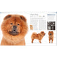 The Dog Encyclopedia: The Definitive Visual Guide (DK Pet Encyclopedias) (2ND ed.) (Spiral Bound)