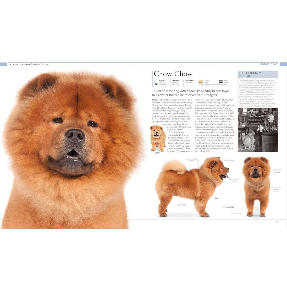 The Dog Encyclopedia: The Definitive Visual Guide (DK Pet Encyclopedias) (2ND ed.) (Spiral Bound)
