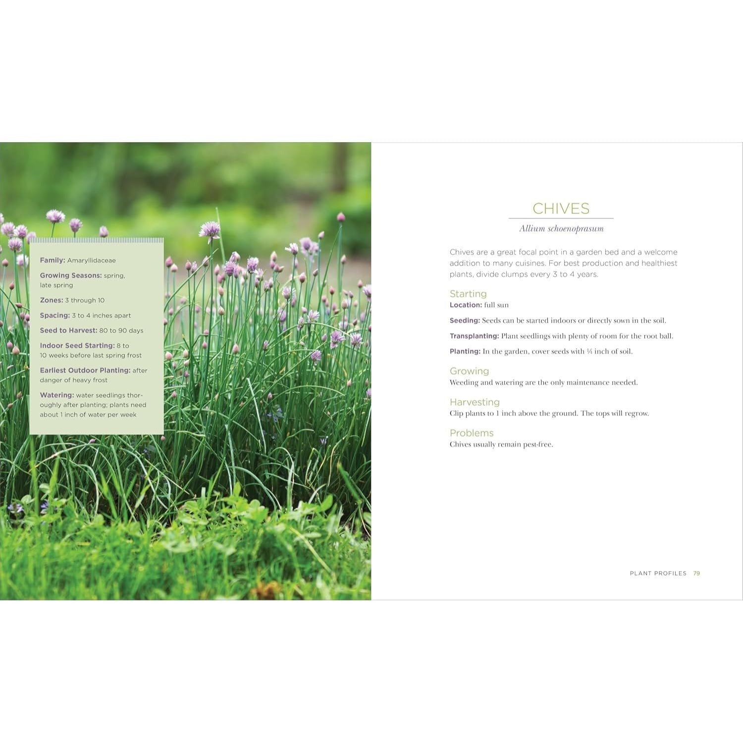 Raised-Bed Gardening for Beginners: Everything You Need to Know to Start and Sustain a Thriving Garden (Spiral Bound)