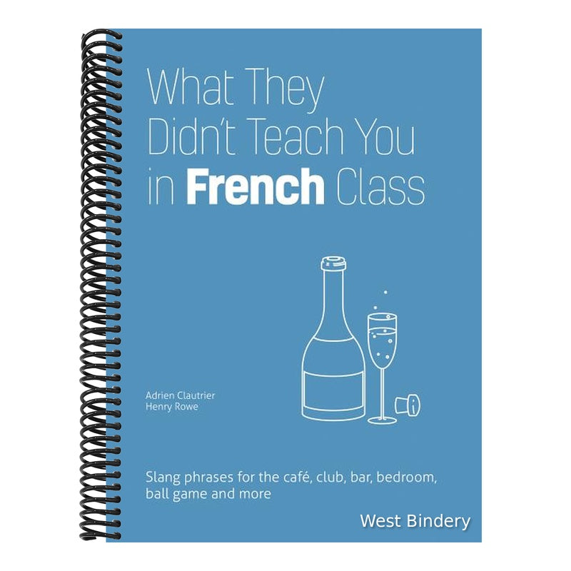 What They Didn't Teach You in French Class: Slang Phrases for the Cafe, Club, Bar, Bedroom, Ball Game and More