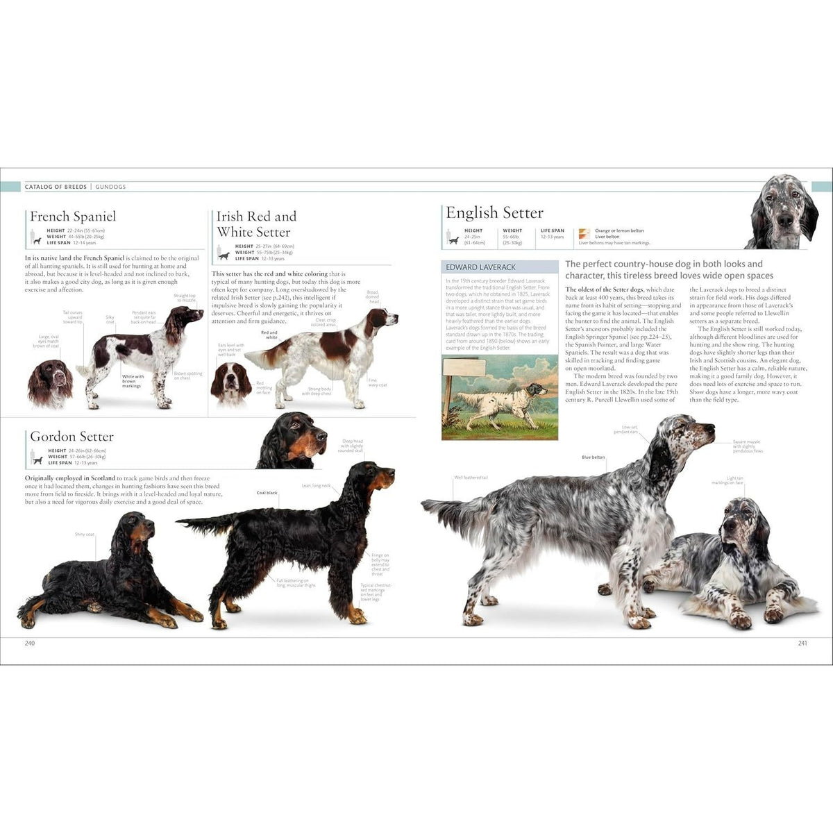 The Dog Encyclopedia: The Definitive Visual Guide (DK Pet Encyclopedias) (2ND ed.) (Spiral Bound)