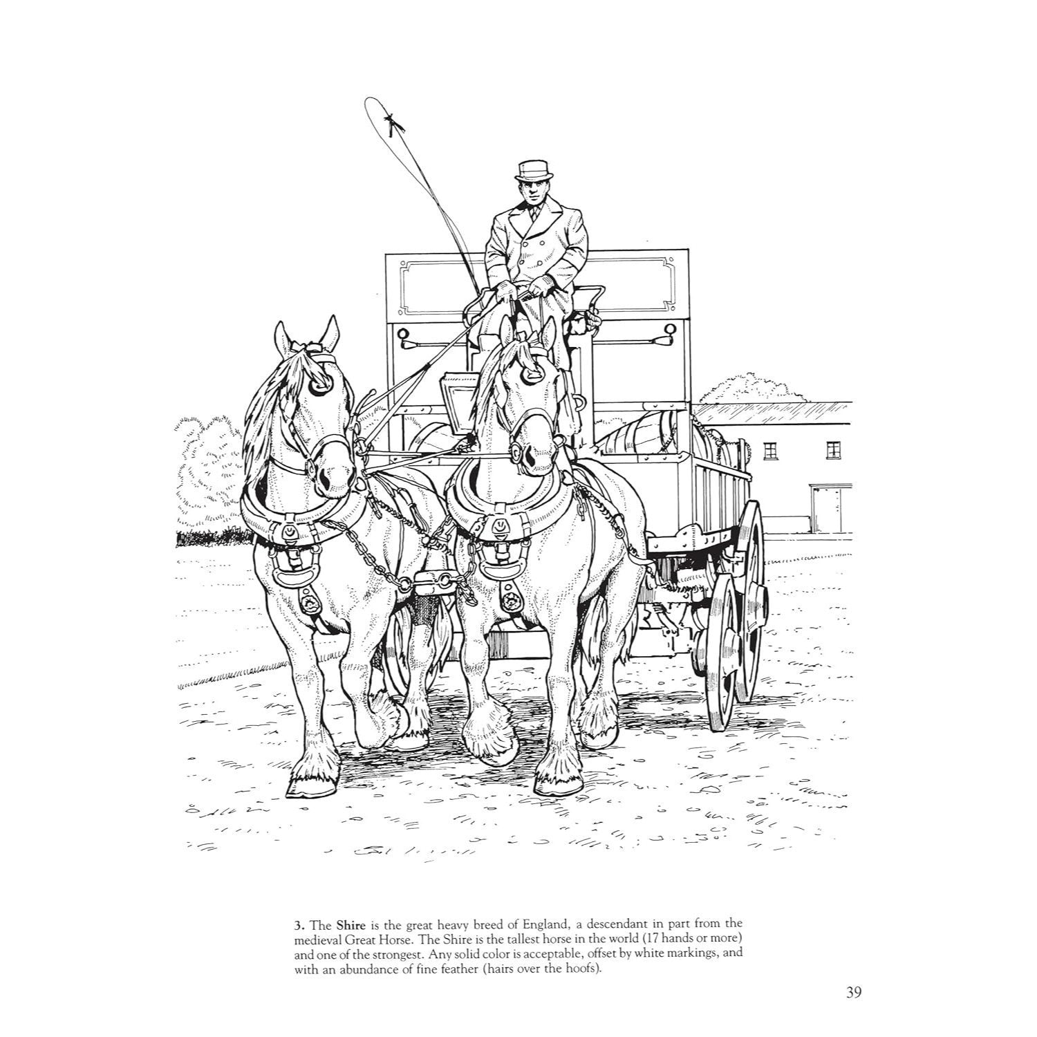 Big Book of Horses to Color