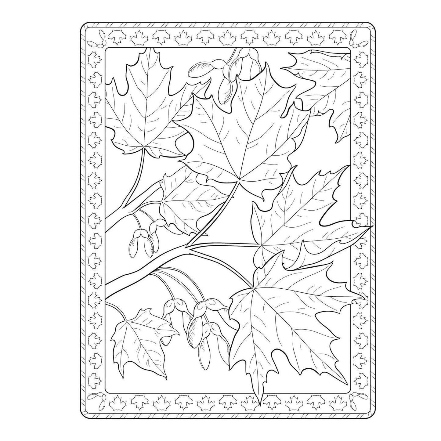 Creative Haven Flowers of the World Coloring Book