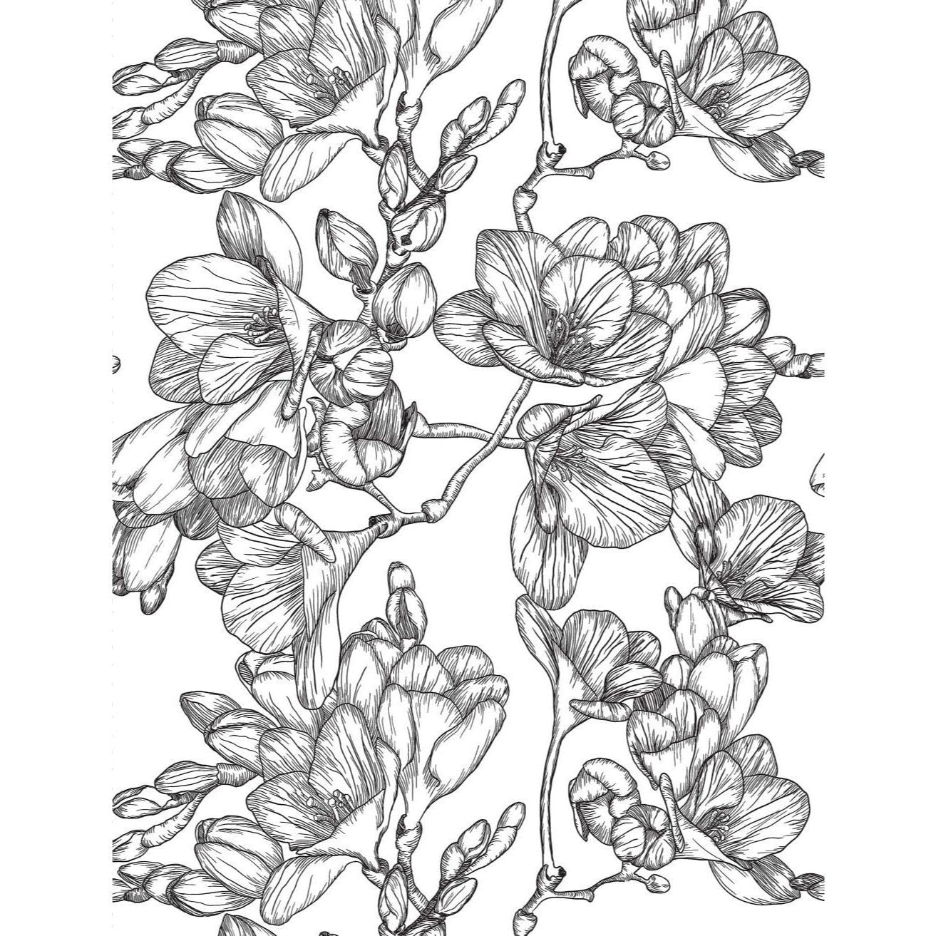Healing Vibes: Coloring for Calm