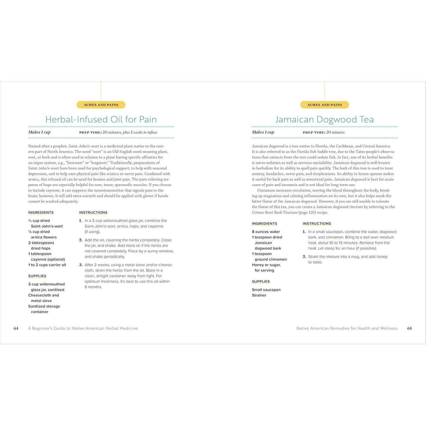 A Beginner's Guide to Native American Herbal Medicine: 75 Natural Remedies for Wellness and Balance