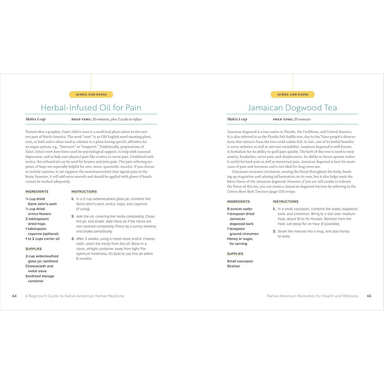 A Beginner's Guide to Native American Herbal Medicine: 75 Natural Remedies for Wellness and Balance