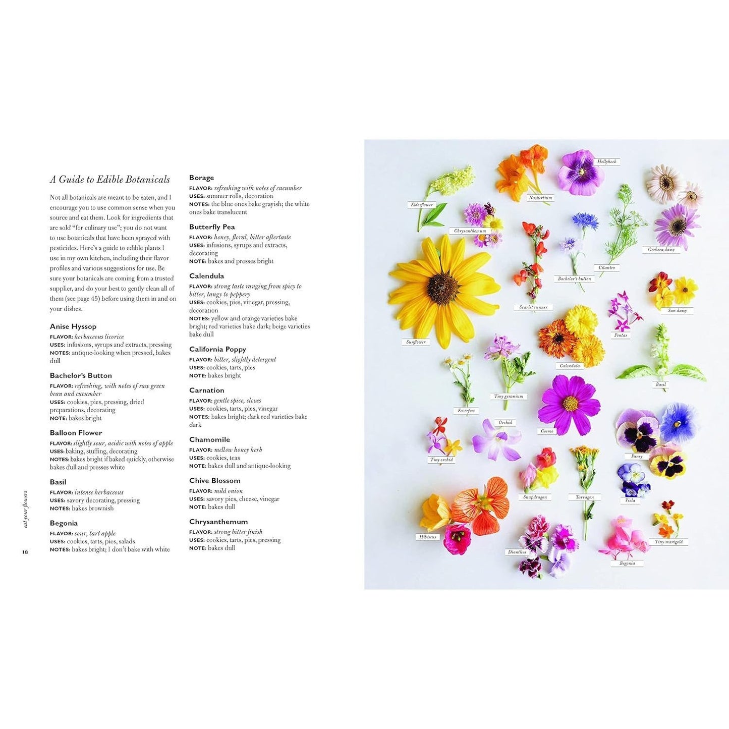 Eat Your Flowers: A Cookbook