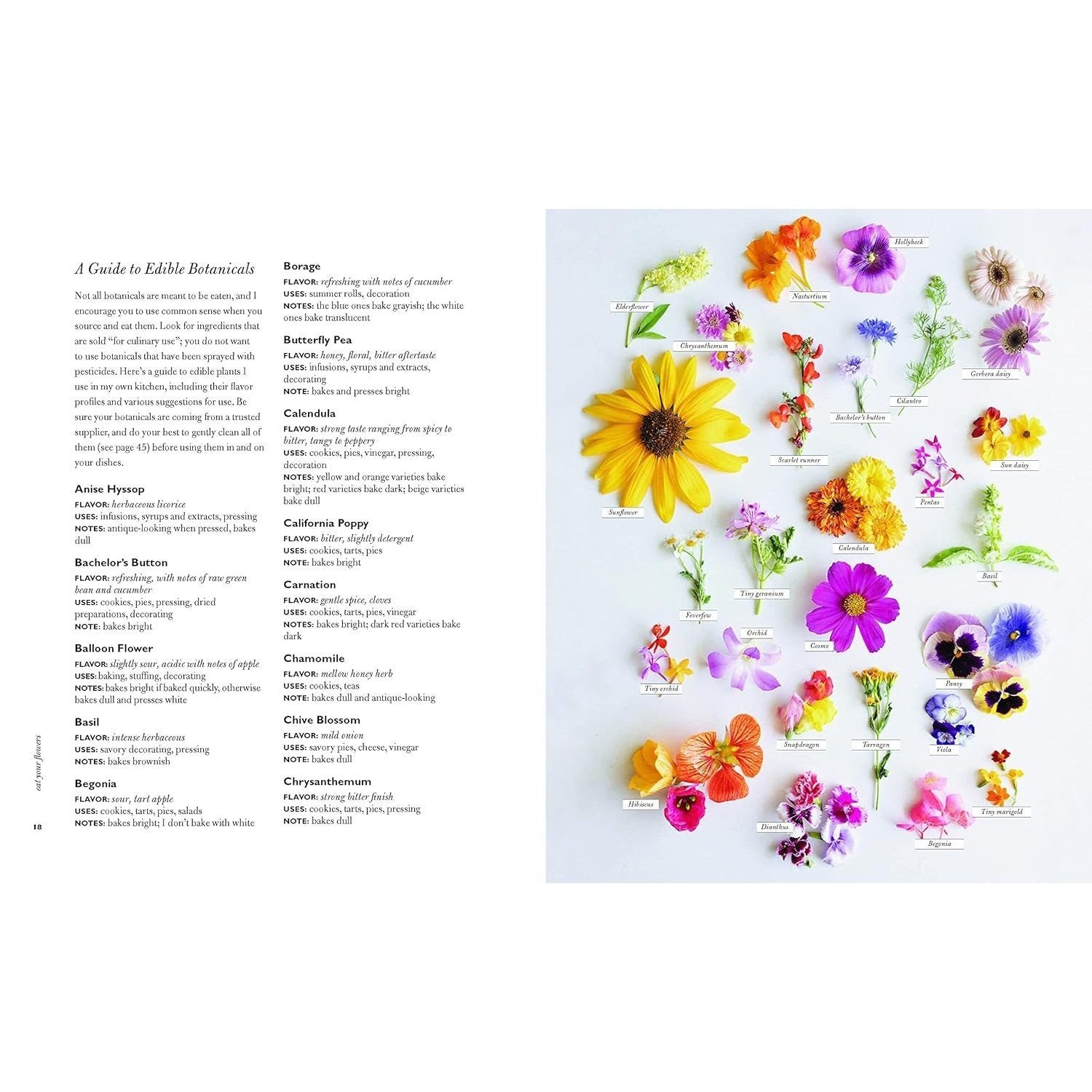 Eat Your Flowers: A Cookbook