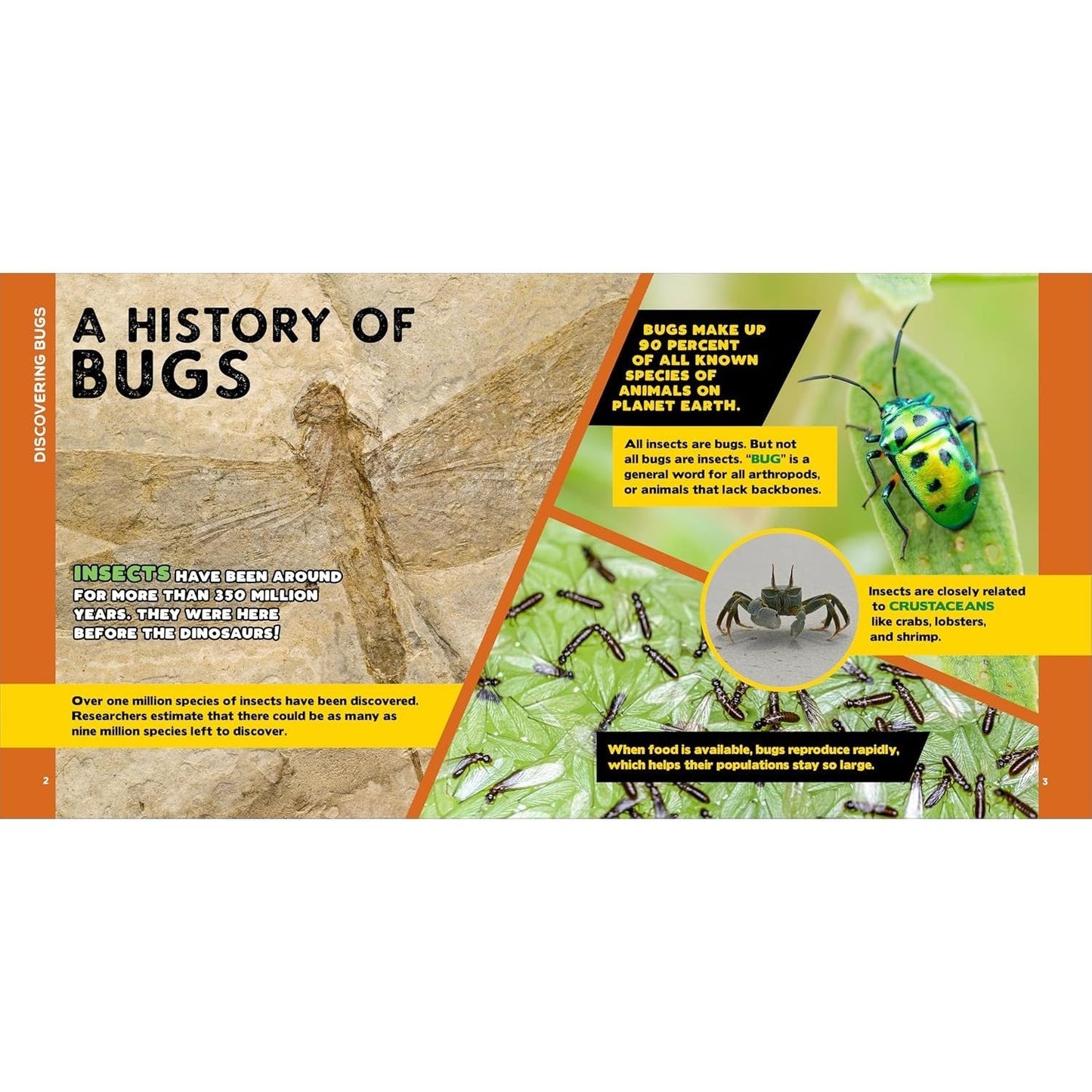 The Fascinating Bug Book for Kids: 500 Startling Facts!