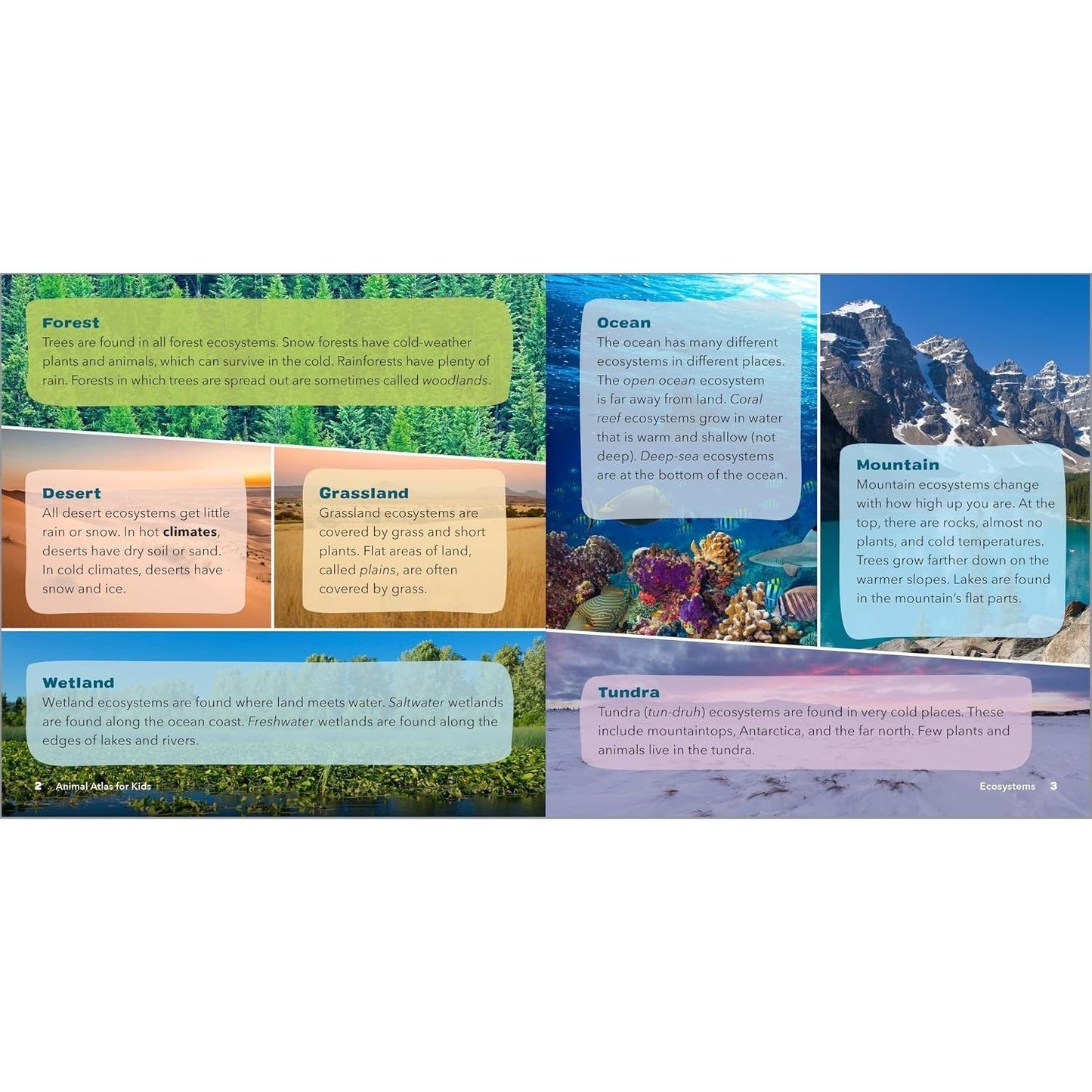 Animal Atlas for Kids: A Visual Journey of Wildlife from Around the World