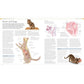 The Cat Encyclopedia: The Definitive Visual Guide (DK Pet Encyclopedias) (Spiral Bound)
