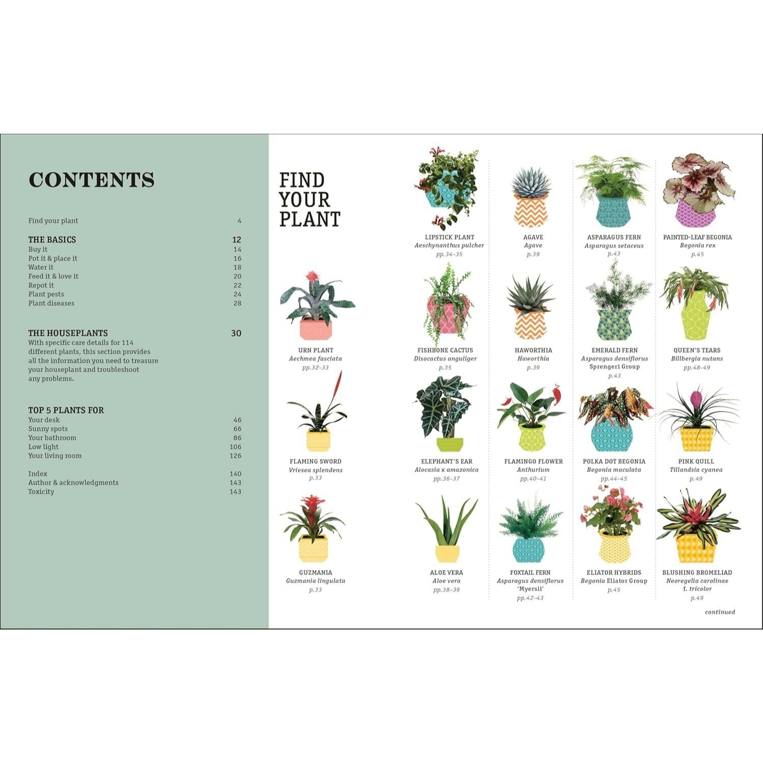 How Not to Kill Your Houseplant New Edition: Survival Tips for the Horticulturally Challenged