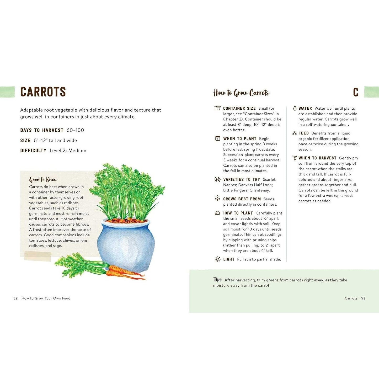 How to Grow Your Own Food: An Illustrated Beginner's Guide to Container Gardening
