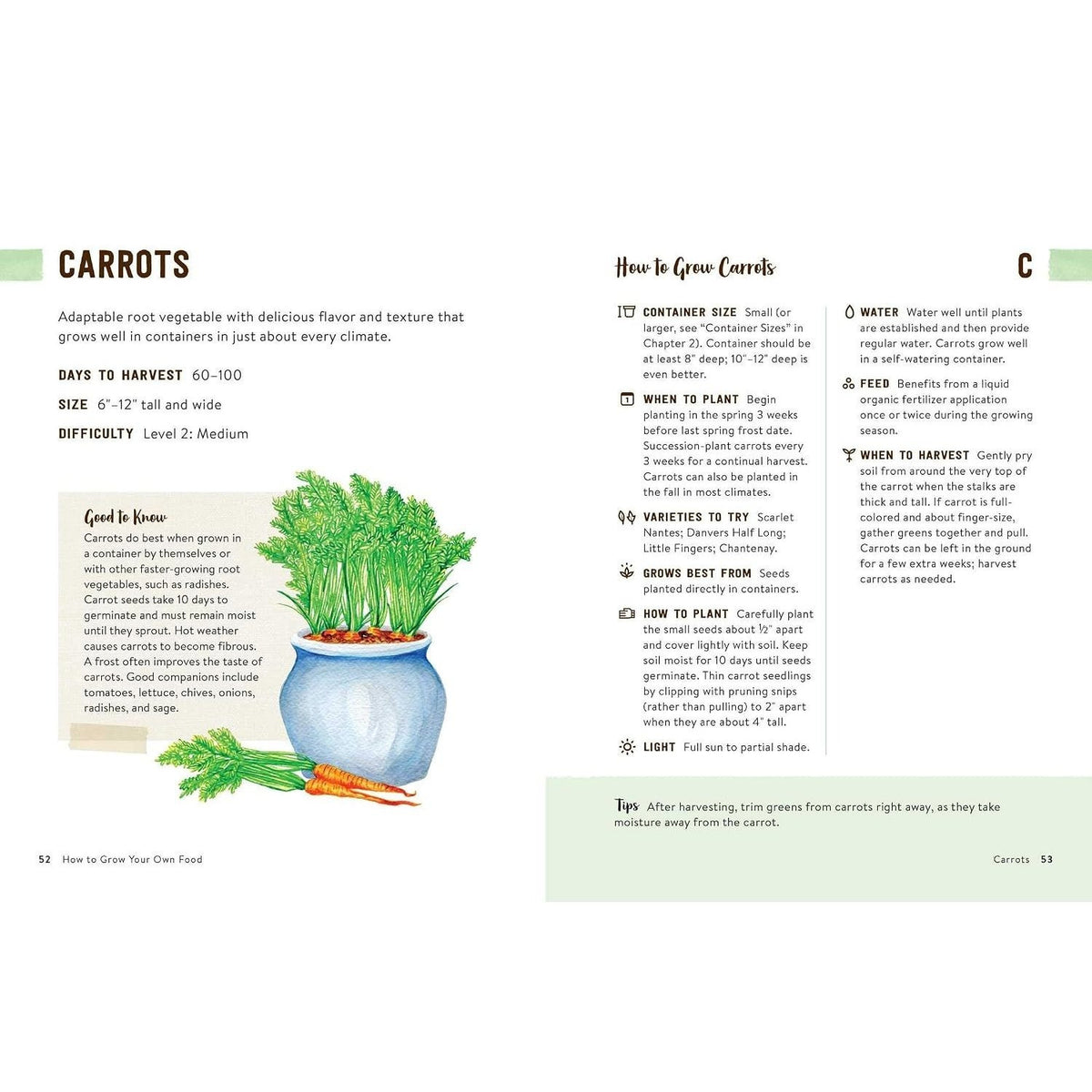 How to Grow Your Own Food: An Illustrated Beginner's Guide to Container Gardening