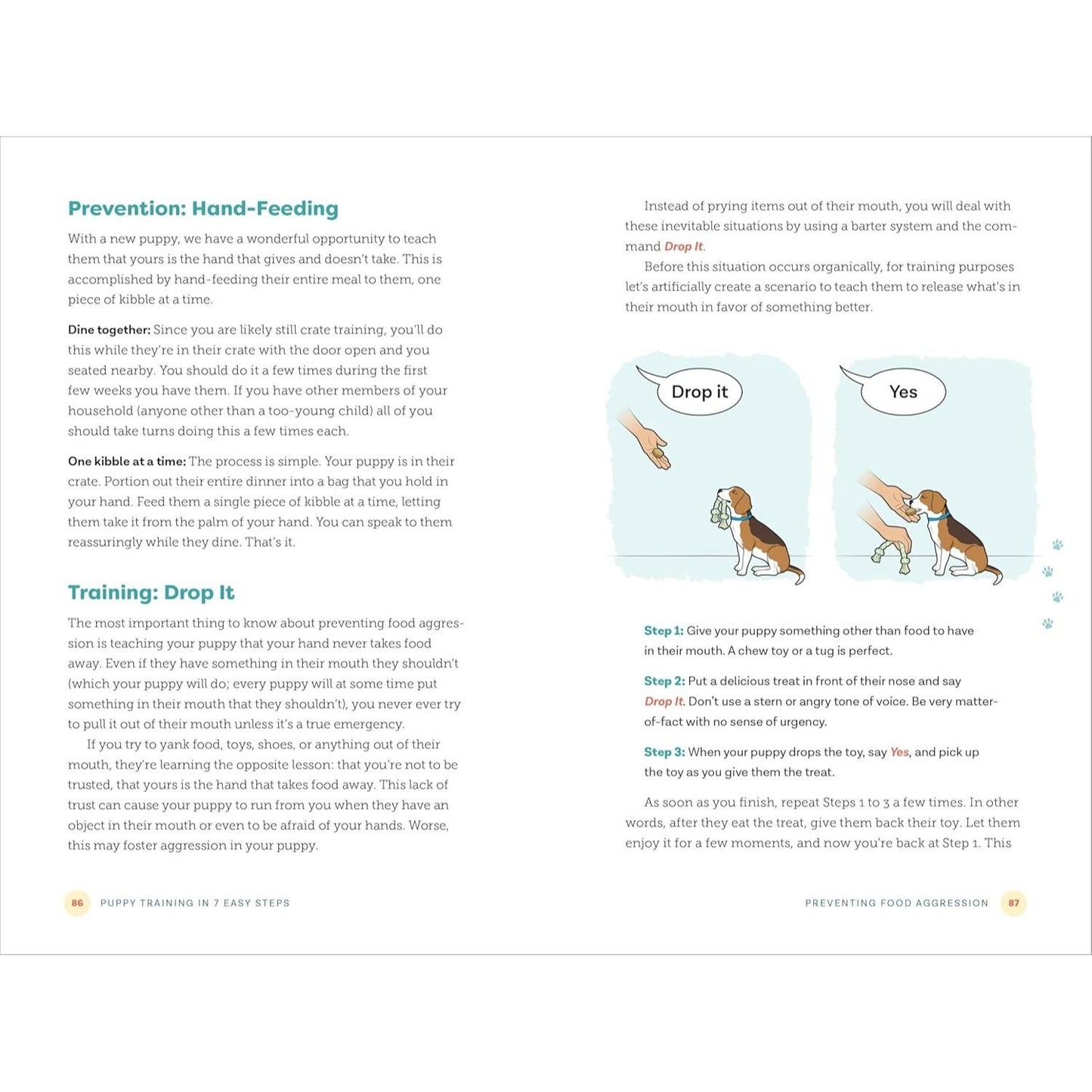 Puppy Training in 7 Easy Steps: Everything You Need to Know to Raise the Perfect Dog (Spiral Bound)