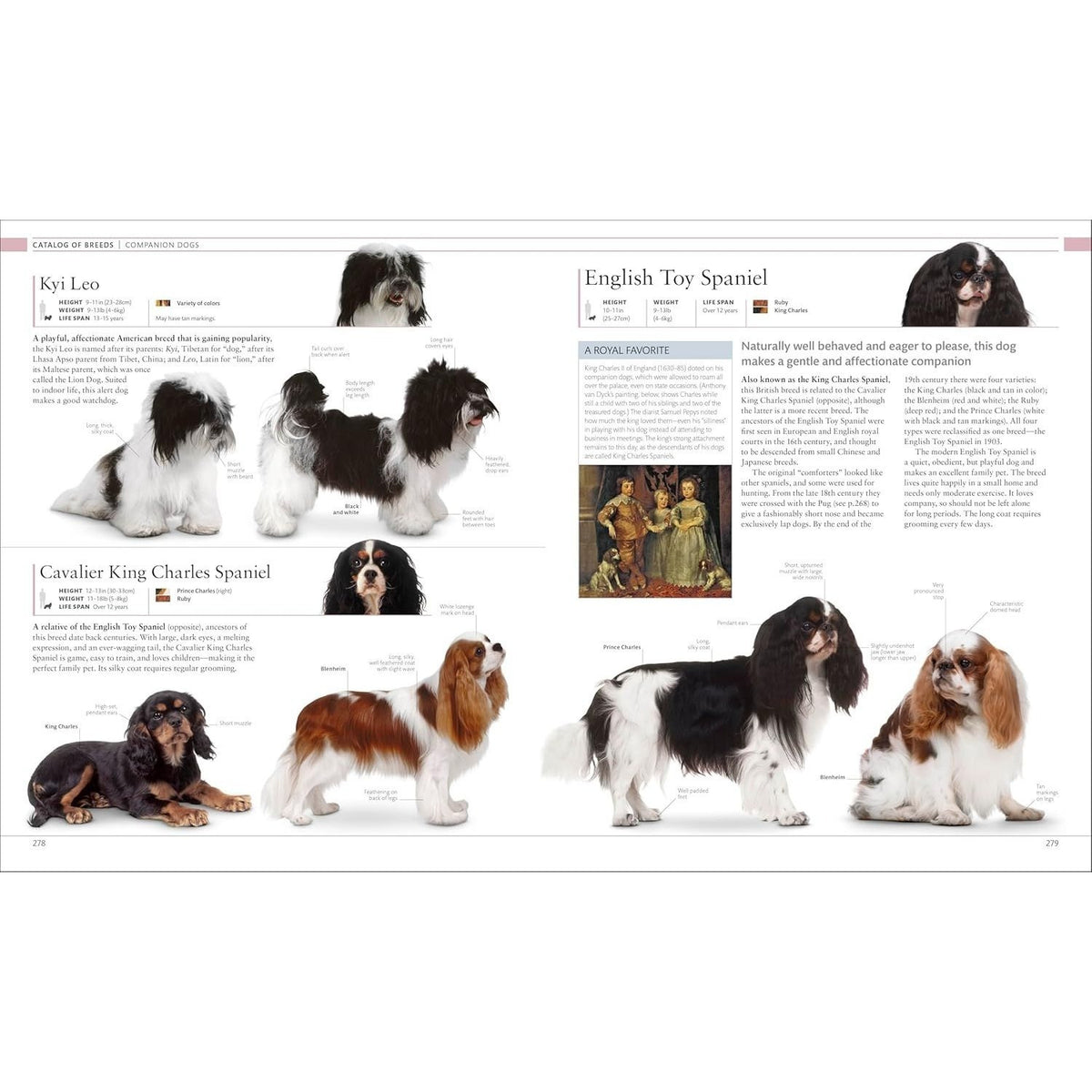 The Dog Encyclopedia: The Definitive Visual Guide (DK Pet Encyclopedias) (2ND ed.) (Spiral Bound)