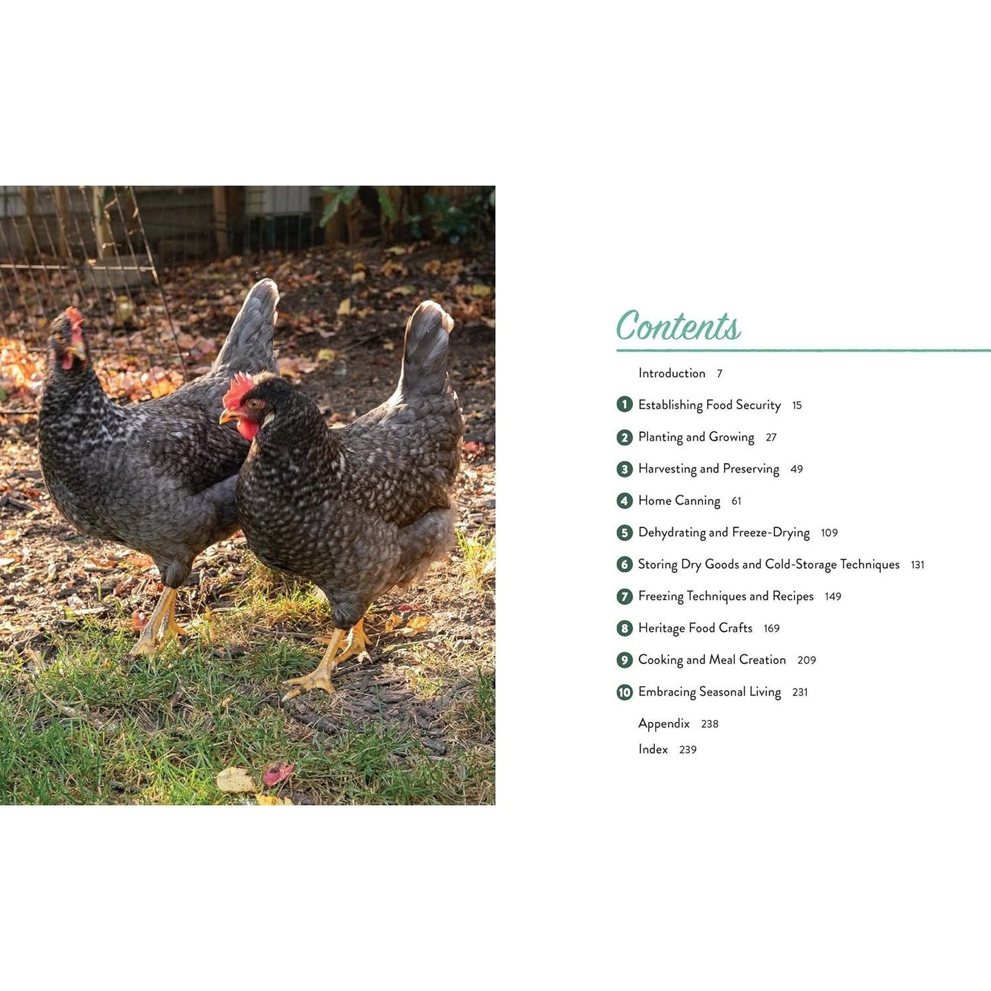 From Seed to Table: A Comprehensive Guide to Gardening, Preserving, and Cooking for Sustainable Living