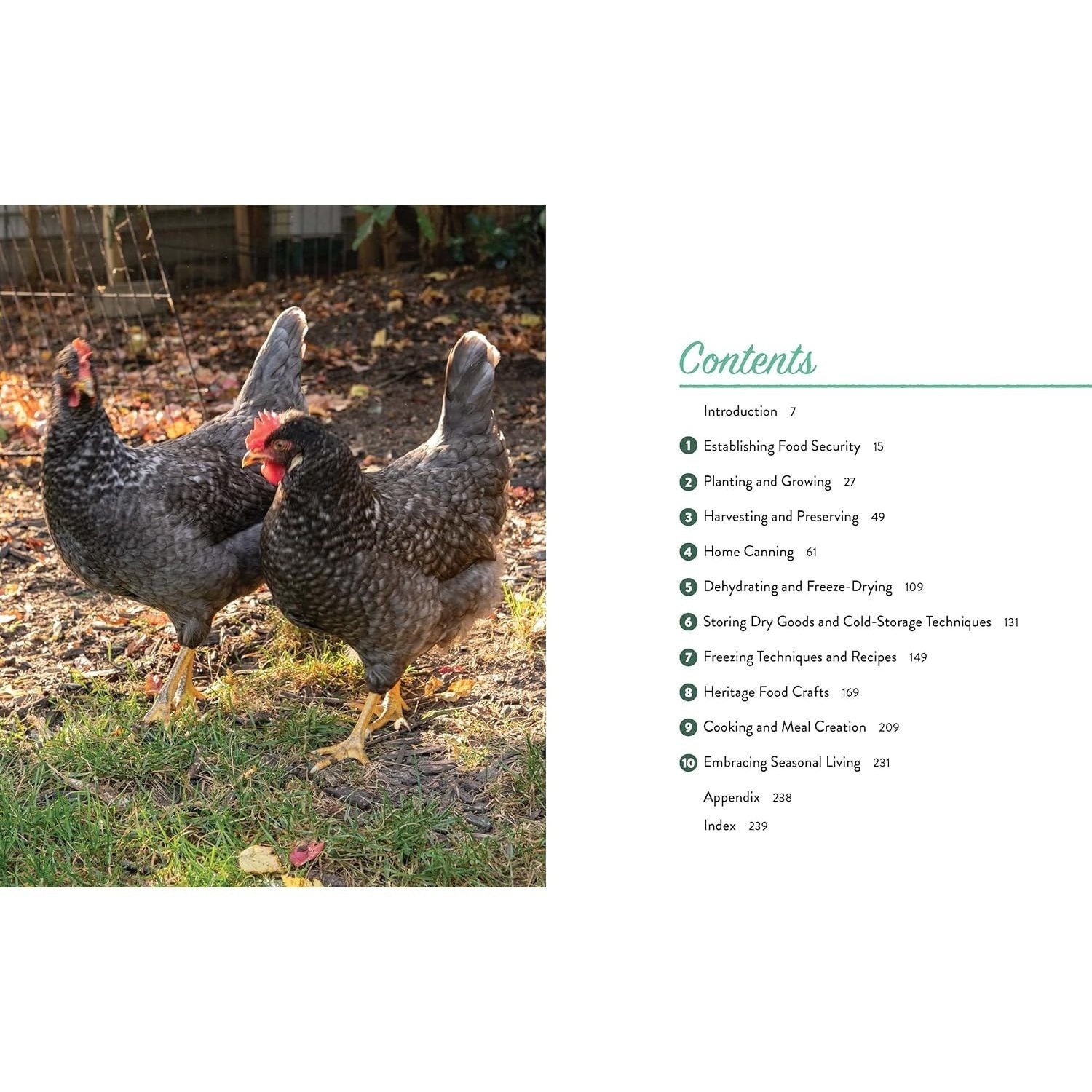 From Seed to Table: A Comprehensive Guide to Gardening, Preserving, and Cooking for Sustainable Living