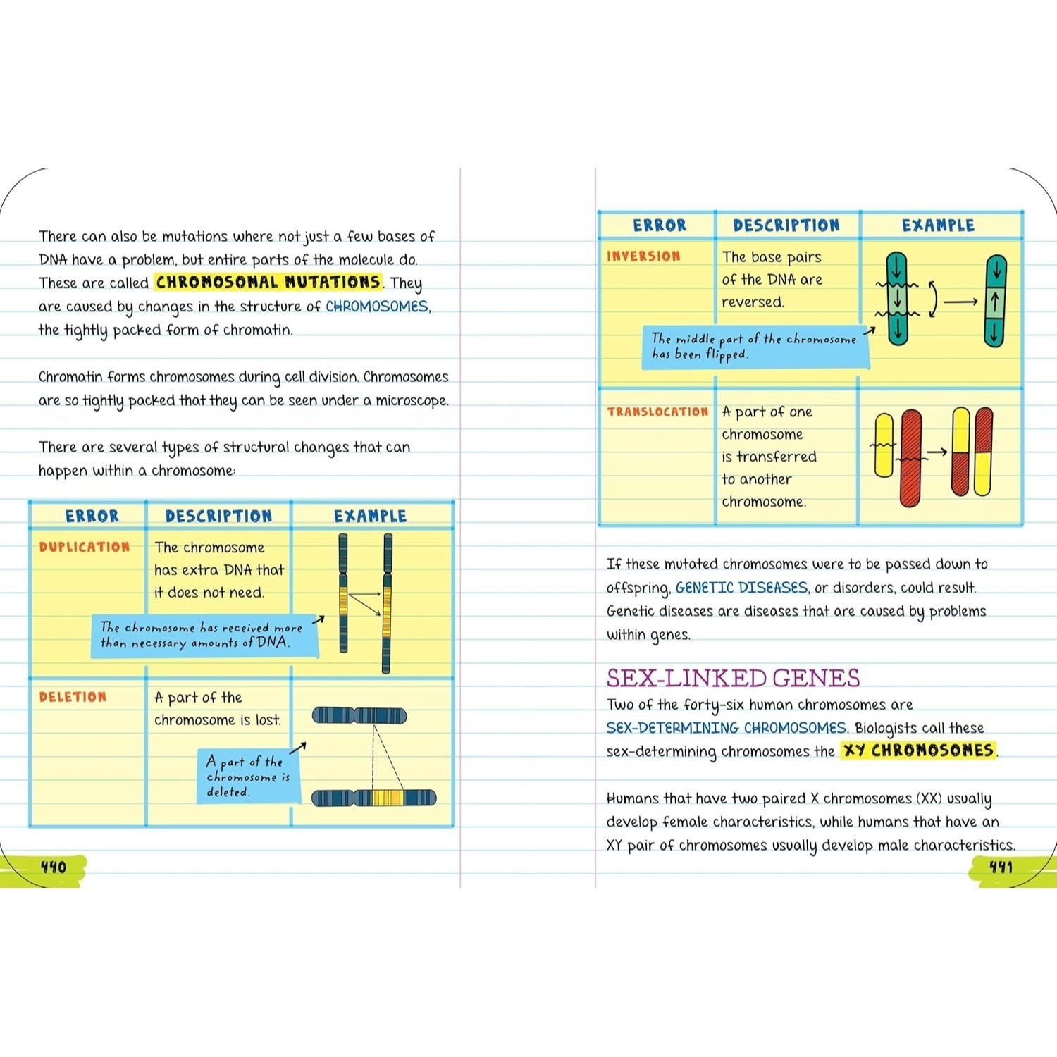 Everything You Need to Ace Biology in One Big Fat Notebook (Big Fat Notebooks) (Spiral Bound)