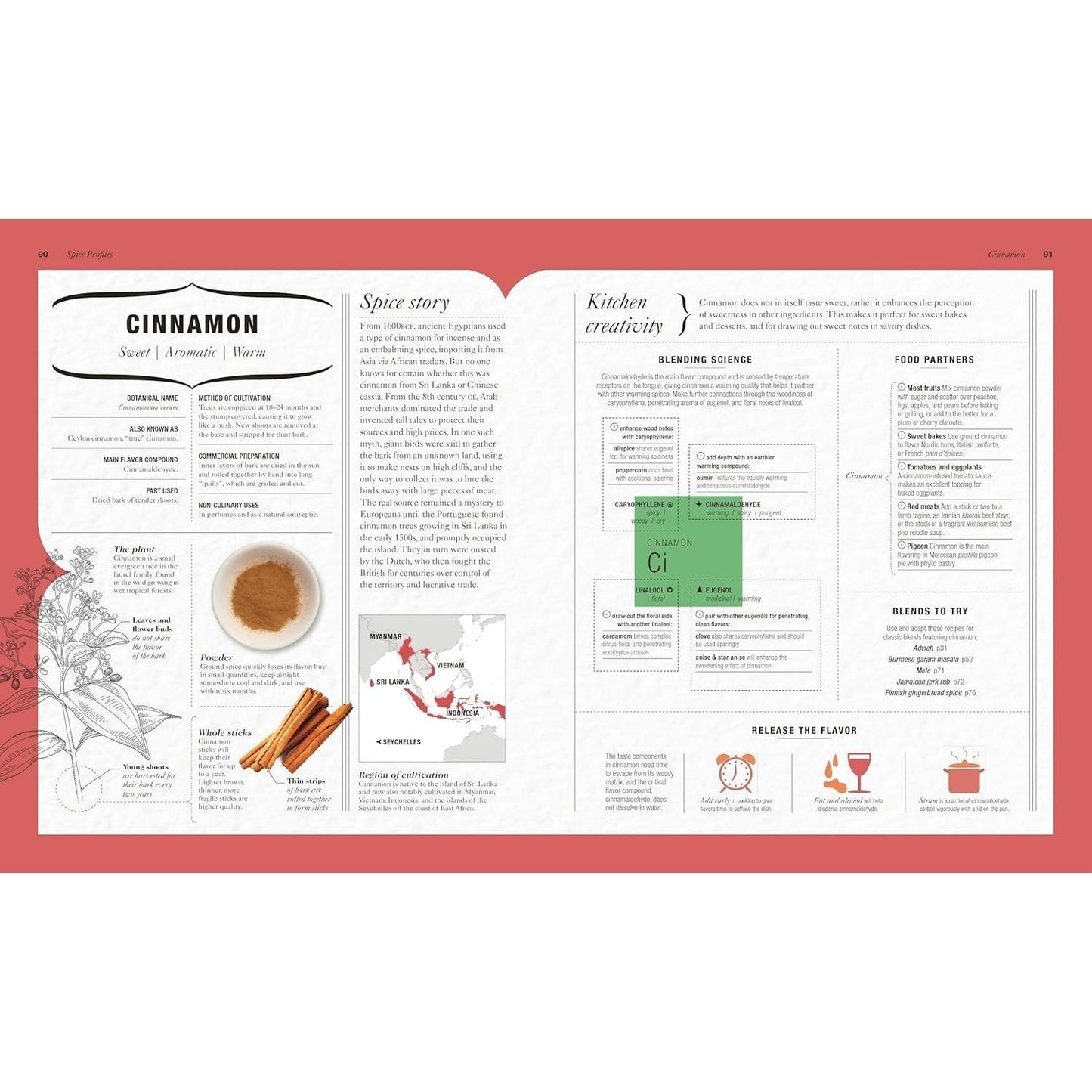 The Science of Spice: Understand Flavor Connections and Revolutionize Your Cooking (Spiral Bound)