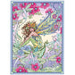 Creative Haven Magical Fairies Coloring Book