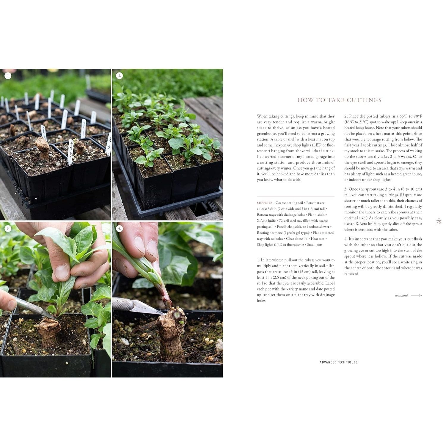 Floret Farm's Discovering Dahlias: A Guide to Growing and Arranging Magnificent Blooms
