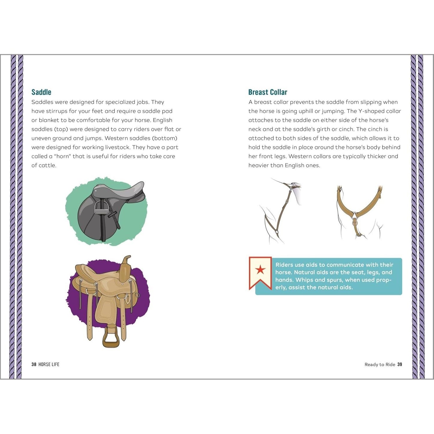 Horse Life: The Ultimate Guide to Caring for and Riding Horses for Kids