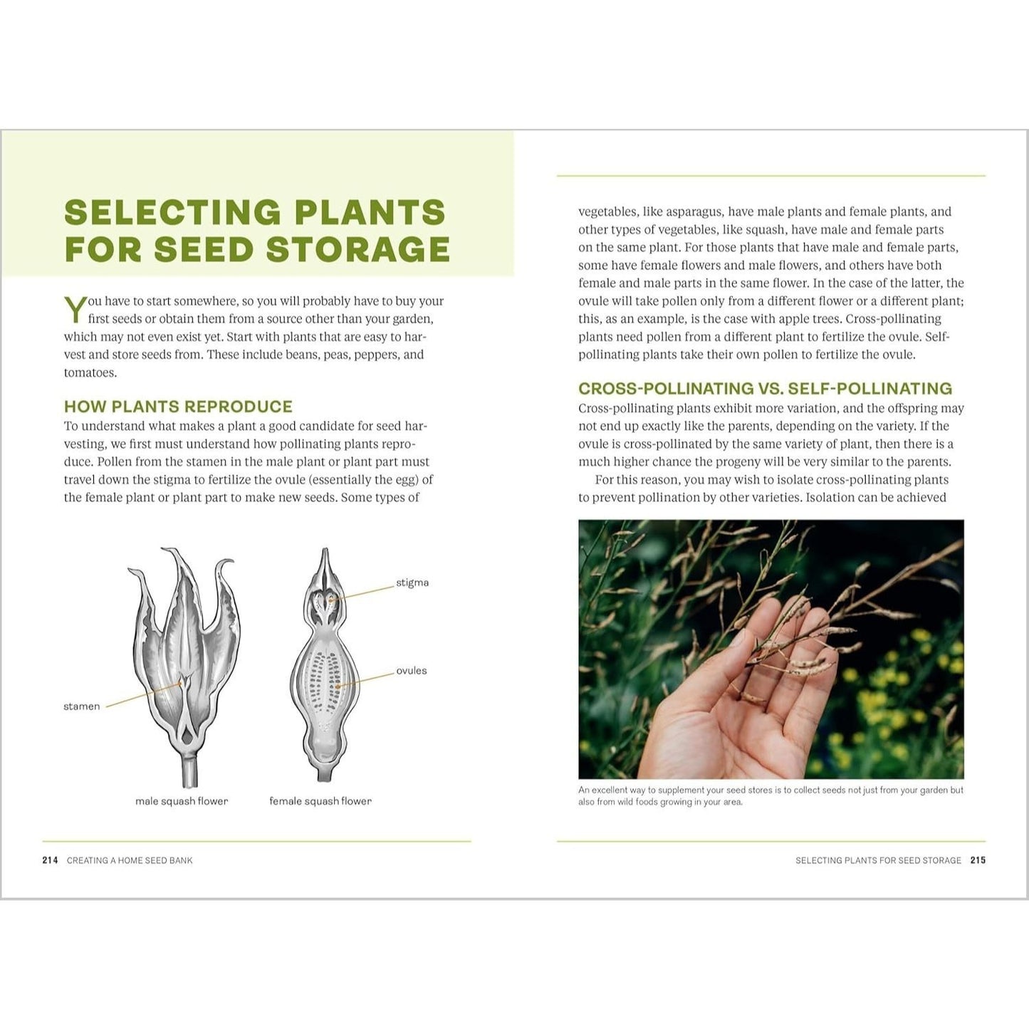 Survival Gardening: Grow Your Own Emergency Food Supply, from Seed to Root Cellar