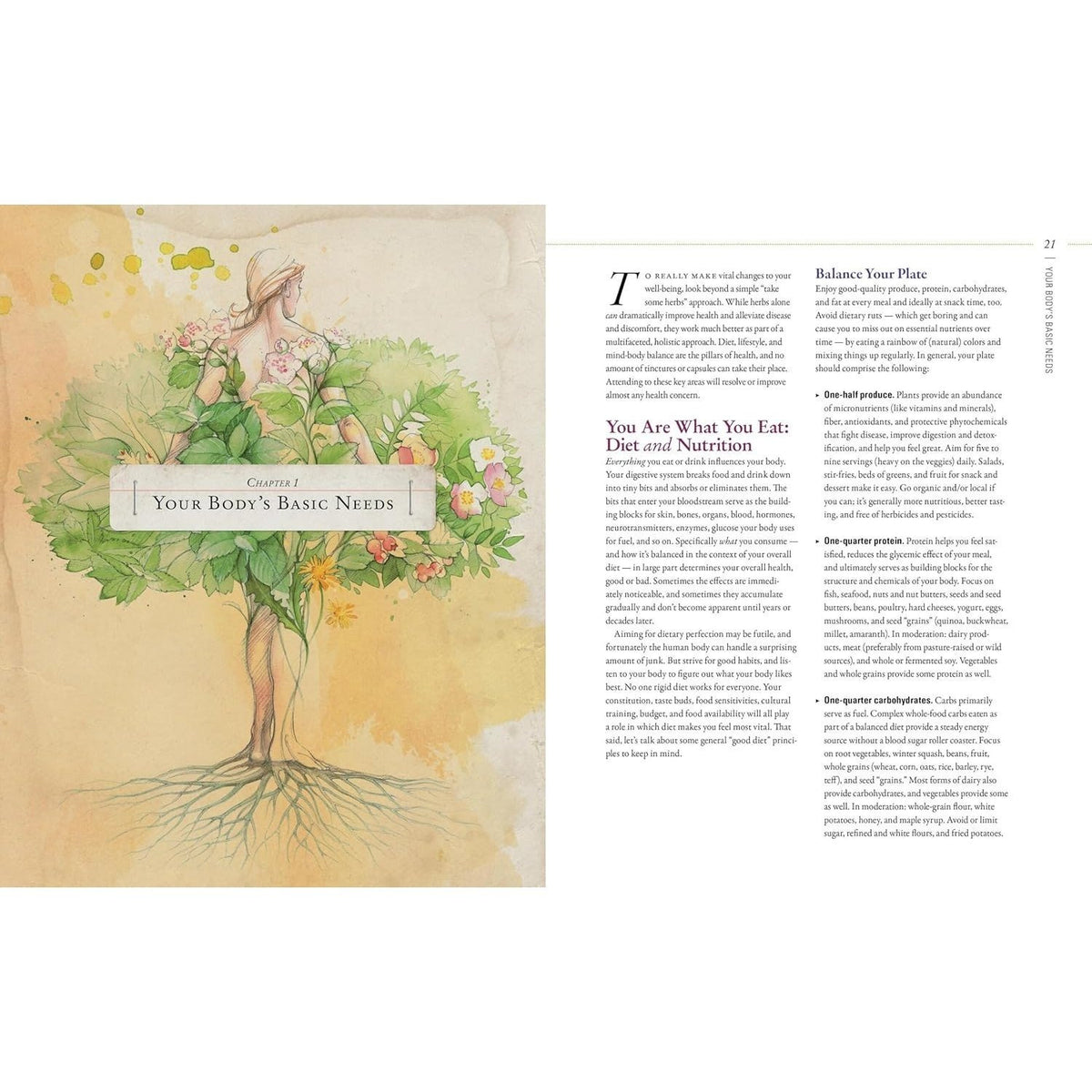Body Into Balance: An Herbal Guide to Holistic Self-Care (Spiral Bound)