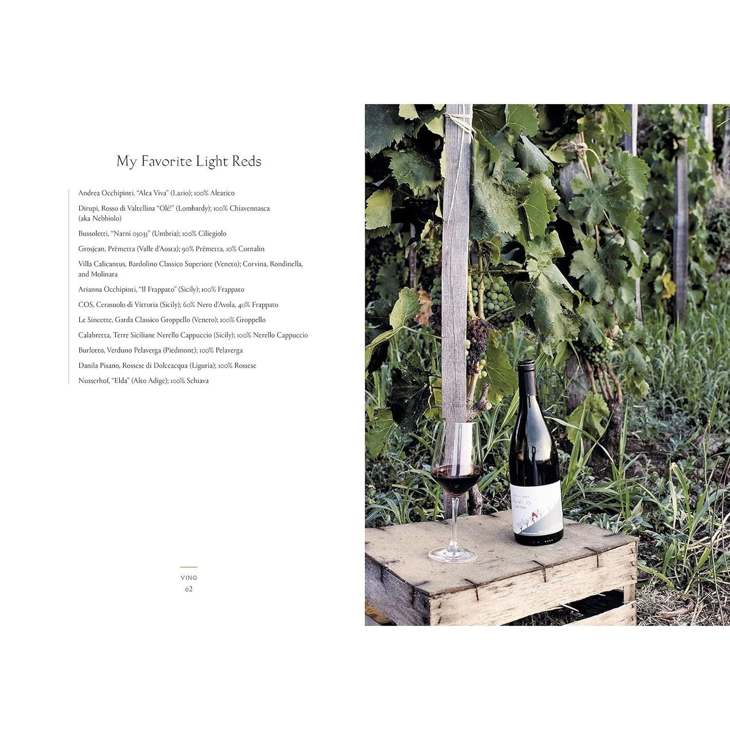 Vino: The Essential Guide to Real Italian Wine