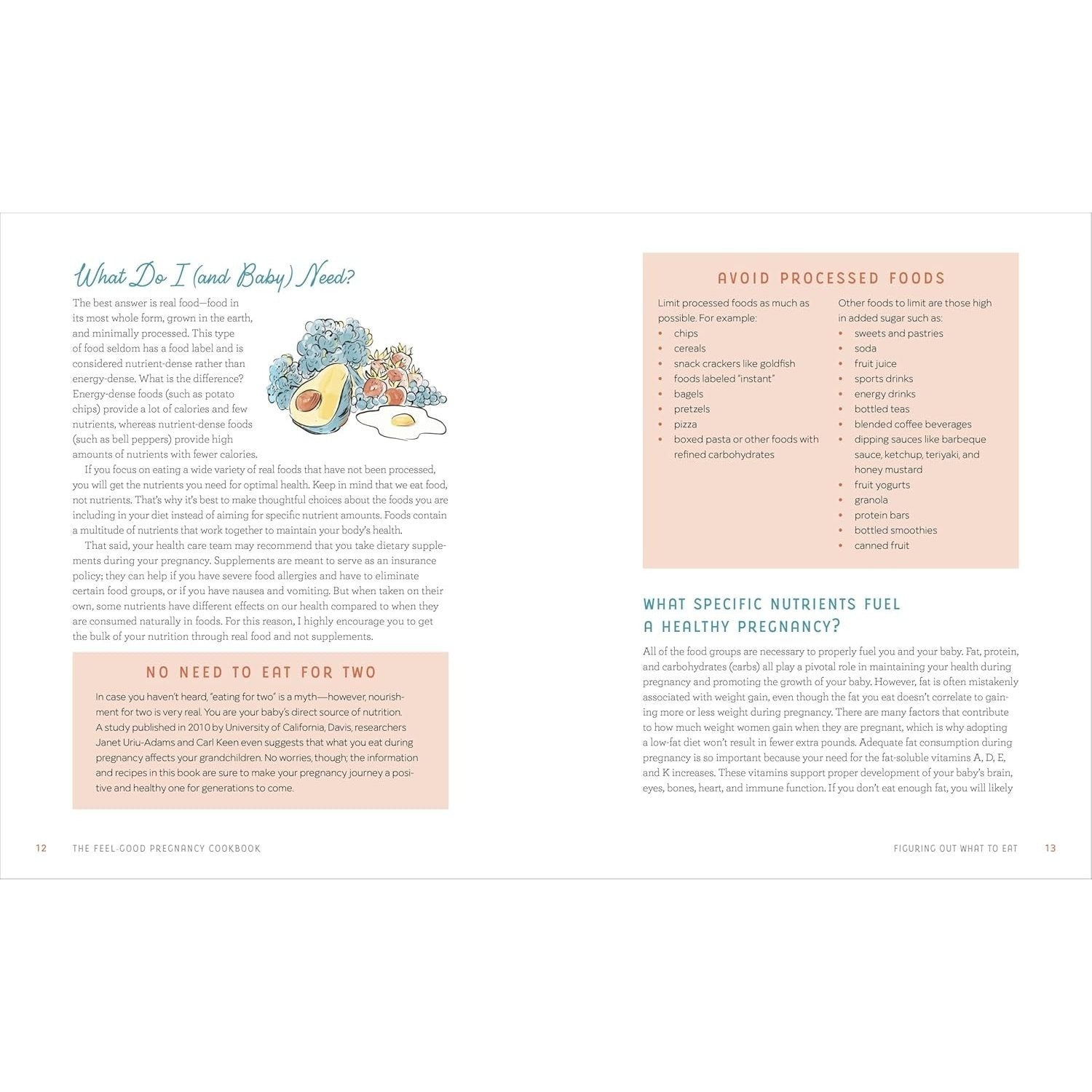 The Feel-Good Pregnancy Cookbook: 100 Nutritious and Delicious Recipes for a Healthy 9 Months and Beyond (Spiral Bound)